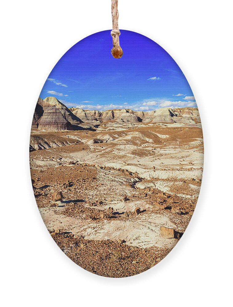 Arizona Ornament featuring the photograph Petrified Forest III by Raul Rodriguez