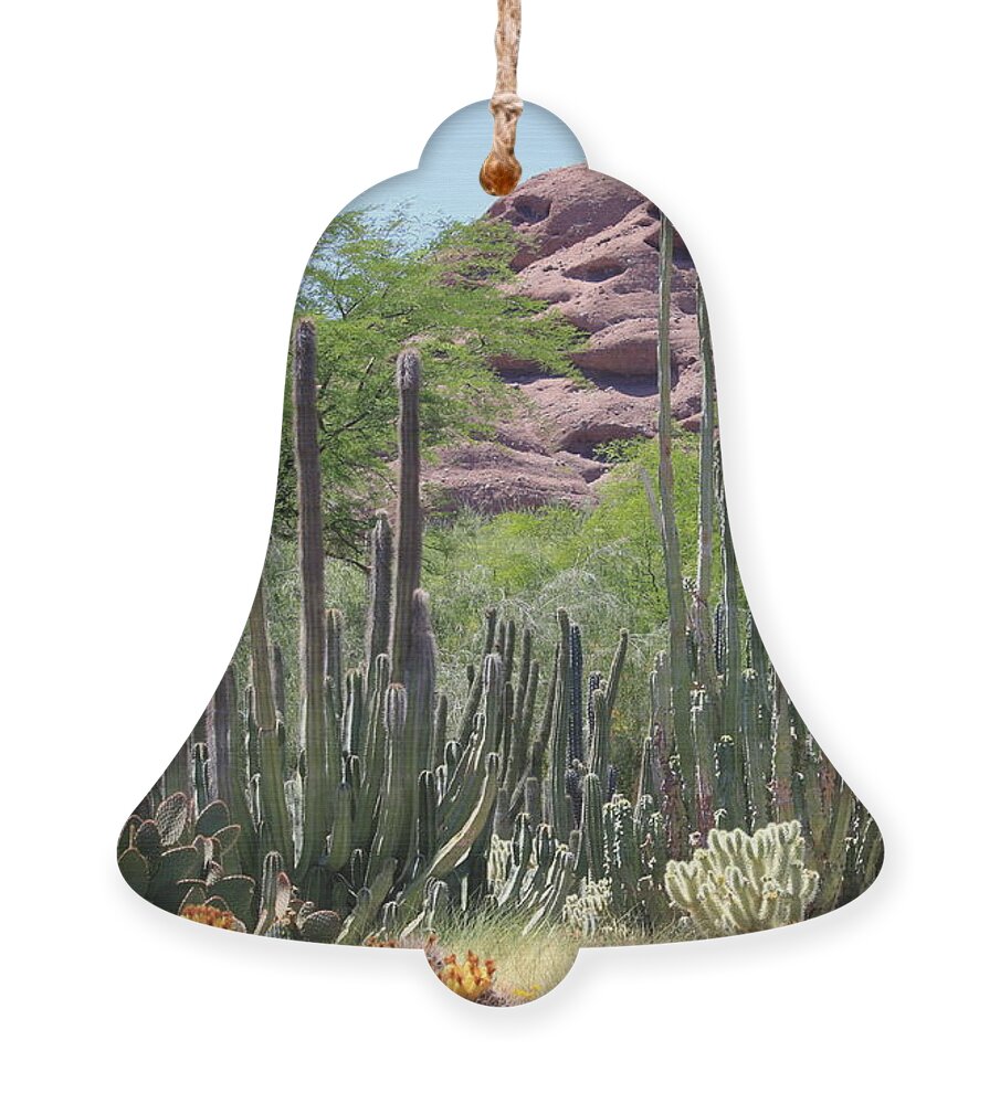 Desert Ornament featuring the photograph Phoenix Botanical Garden by Carol Groenen