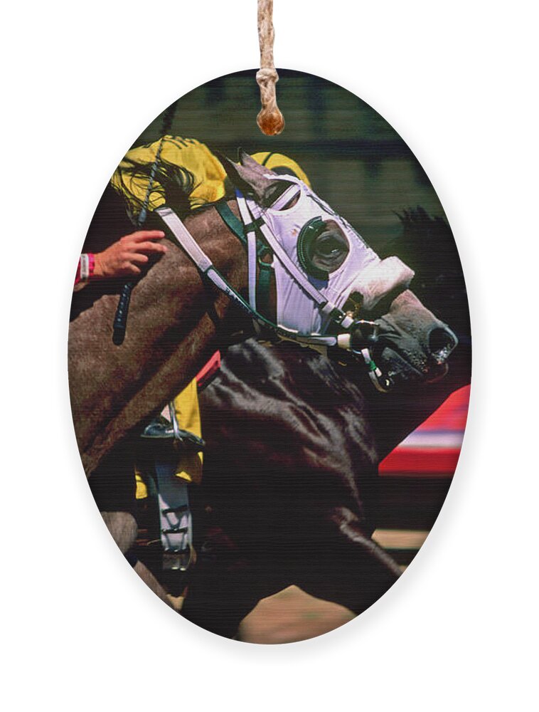 Horse Ornament featuring the photograph Photo Finish by Kathy McClure