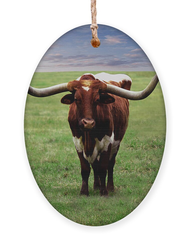 Botanical Ornament featuring the painting Photo Texas Longhorn A010816 by Mas Art Studio
