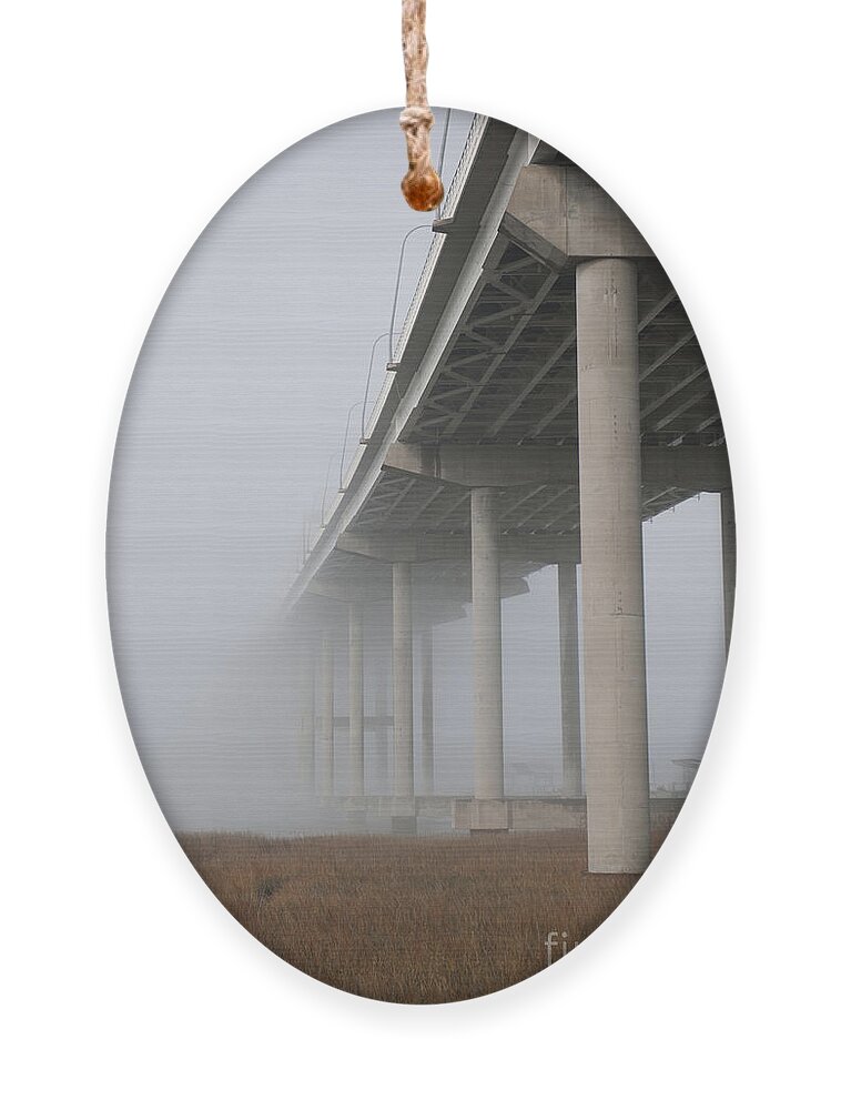 Fog Ornament featuring the photograph Pillar of Fog by Dale Powell