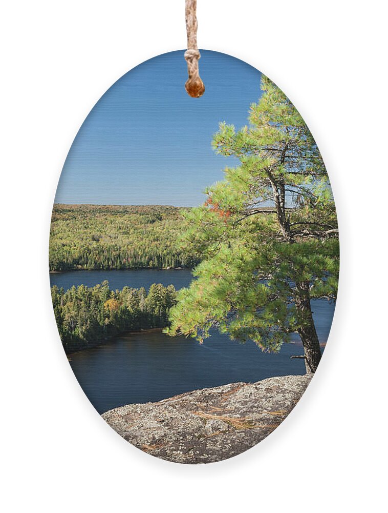 Pine Ornament featuring the photograph Pine tree with a view by Elena Elisseeva