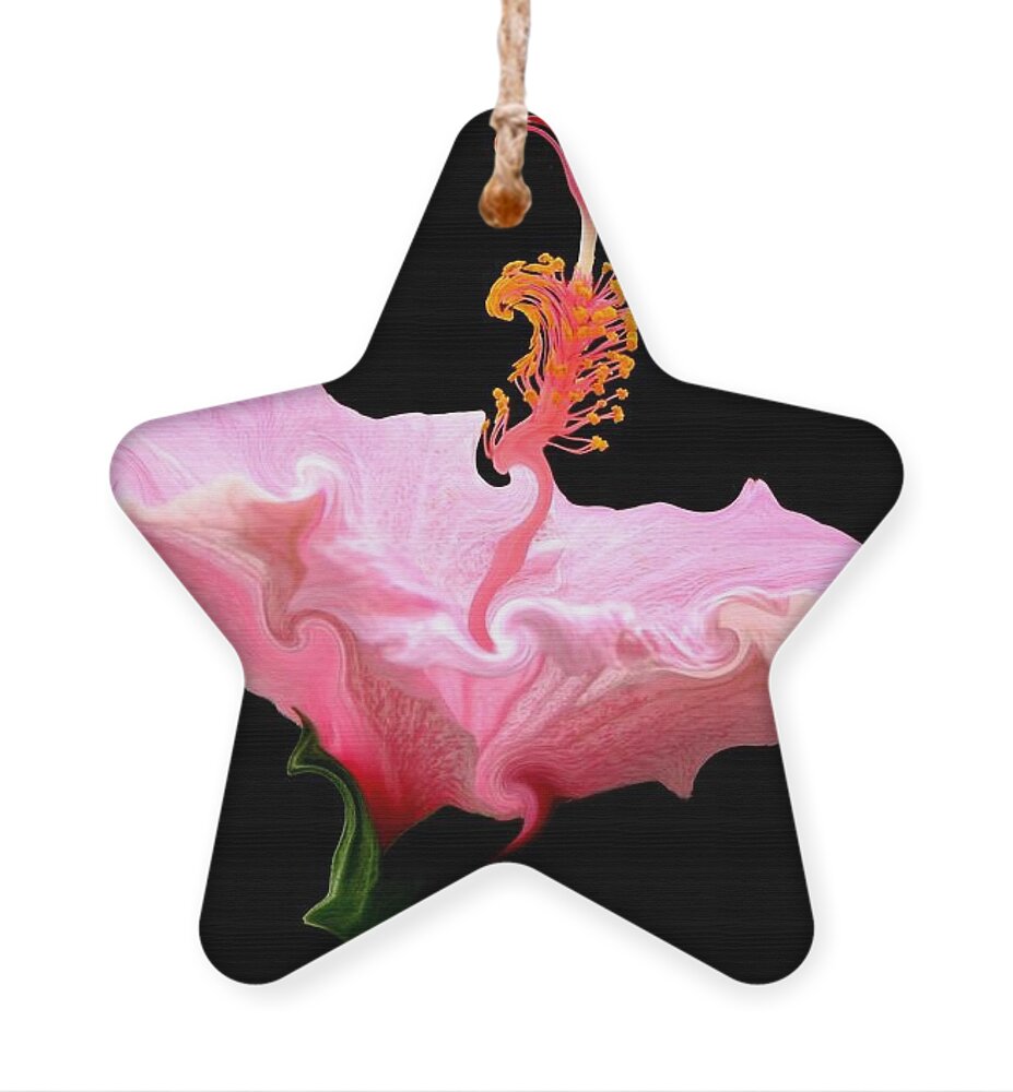 Pink Hibiscus Ornament featuring the photograph Pink Hibiscus with Curlicue Effect by Rose Santuci-Sofranko