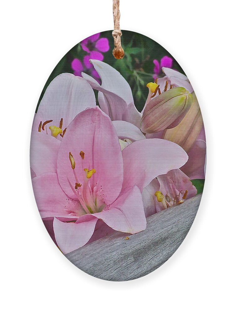 Lilies Ornament featuring the photograph Pink Lilies Corralled by Janis Senungetuk