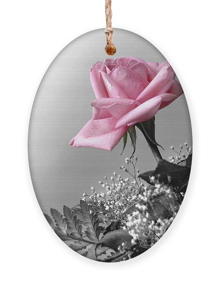 Anniversary Ornament featuring the photograph Pink Petals by Carlos Caetano