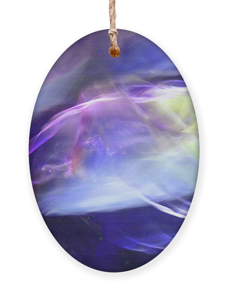 Abstract Ornament featuring the photograph Pisces by Steve Karol