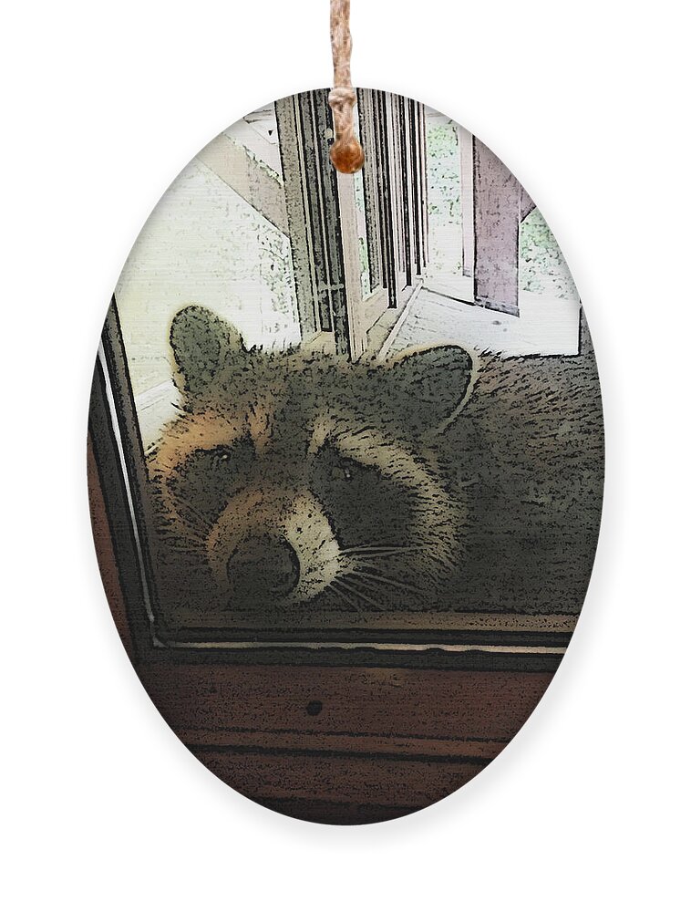 Raccoon Ornament featuring the photograph Please Let Me In by Geoff Jewett