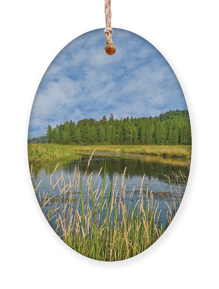 Beauty In Nature Ornament featuring the photograph Plummer Creek Marsh by Jeff Goulden
