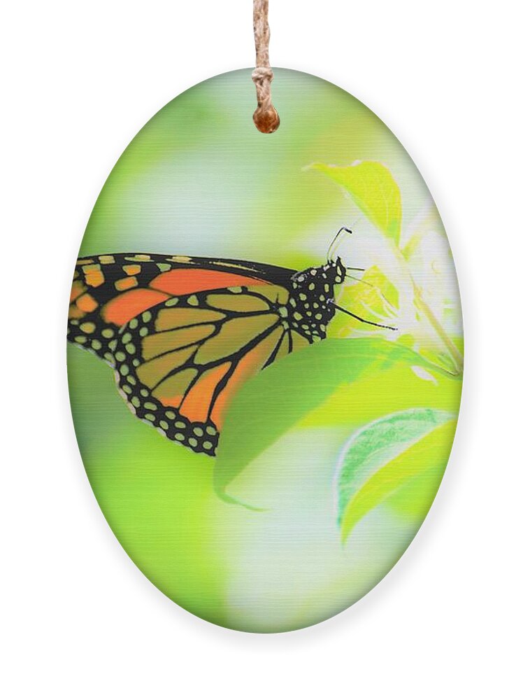 Butterflies Ornament featuring the photograph Poka Dots by Merle Grenz
