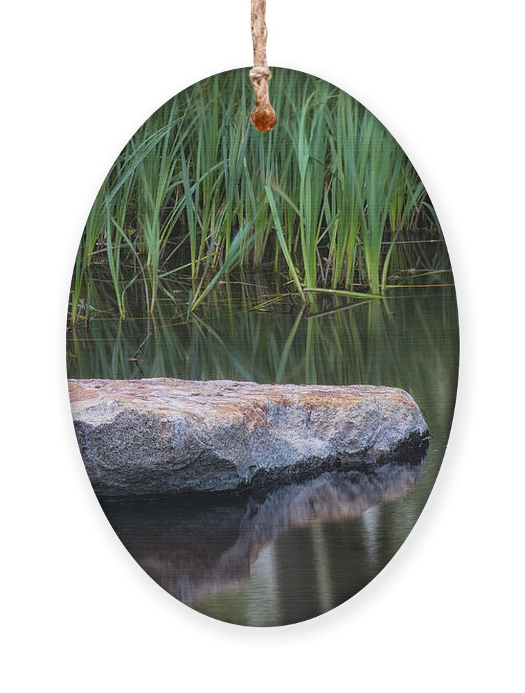 Pond Ornament featuring the photograph Pond by Anthony Michael Bonafede