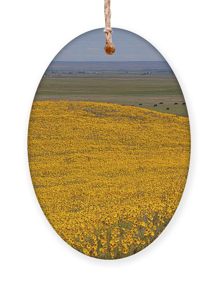 Yellow Wildflowers Ornament featuring the photograph Mound of Gold by Jim Garrison
