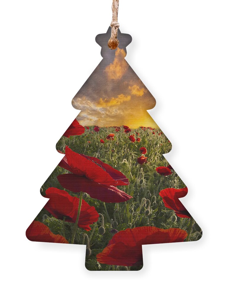 Appalachia Ornament featuring the photograph Poppy Field by Debra and Dave Vanderlaan