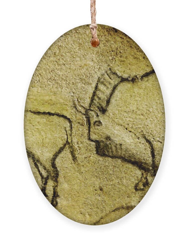 Bison Ornament featuring the digital art Prehistoric Bison - La Covaciella by Weston Westmoreland