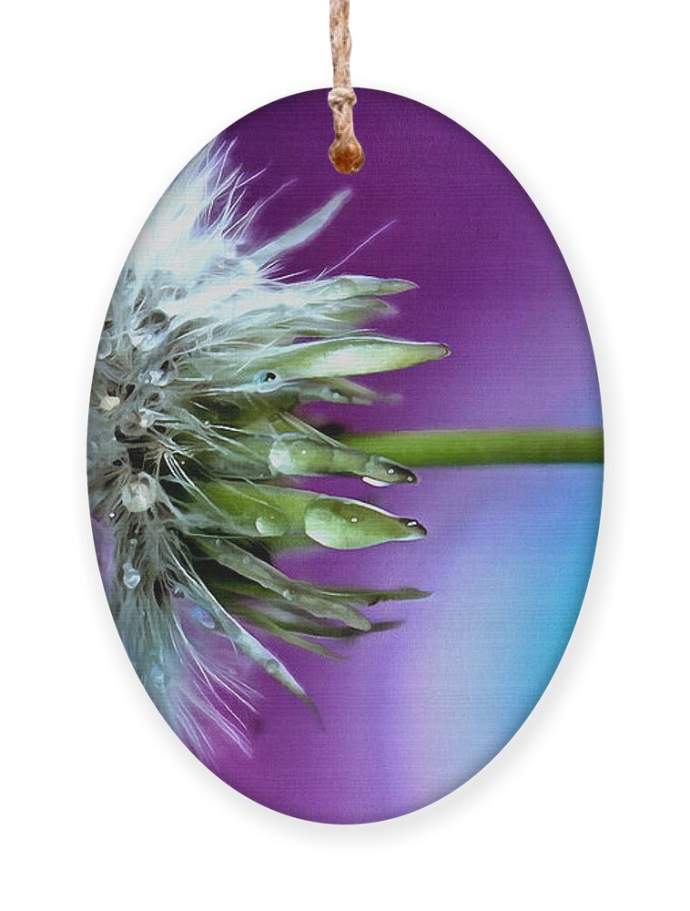 Dandelion Ornament featuring the photograph Psychedelic Daydream by Krissy Katsimbras