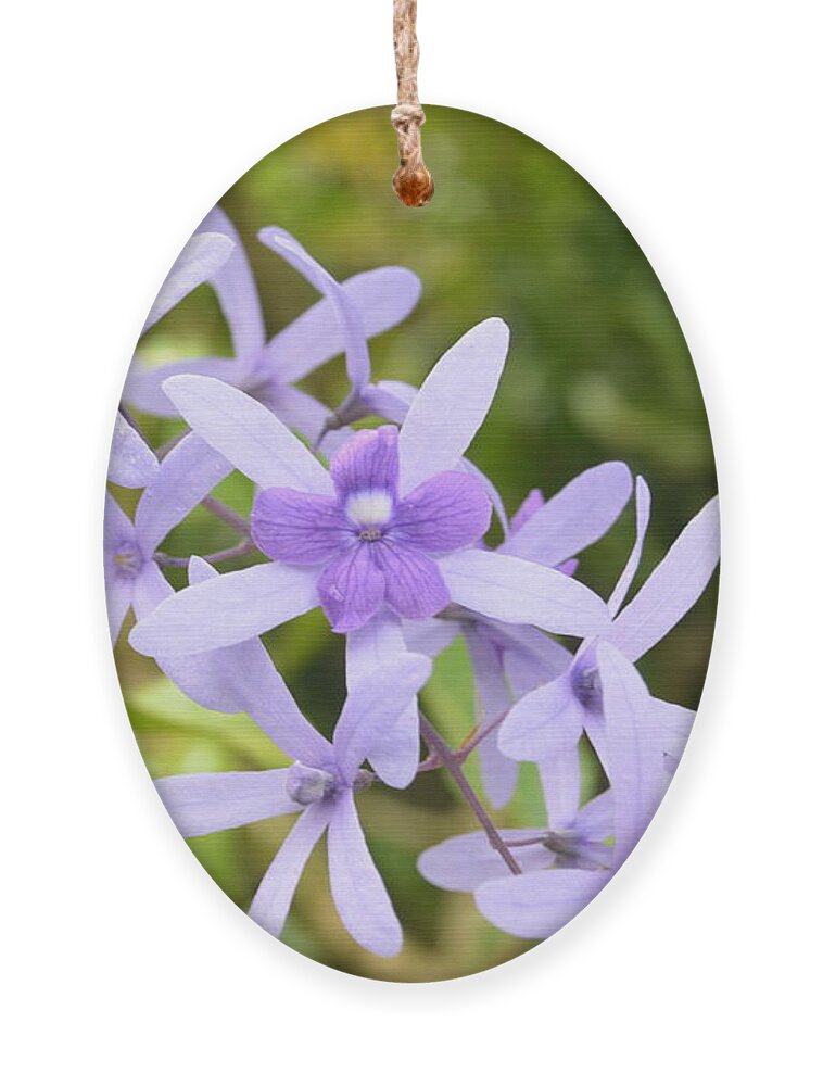 Kauai Ornament featuring the photograph Purple Orchids 2 by Amy Fose
