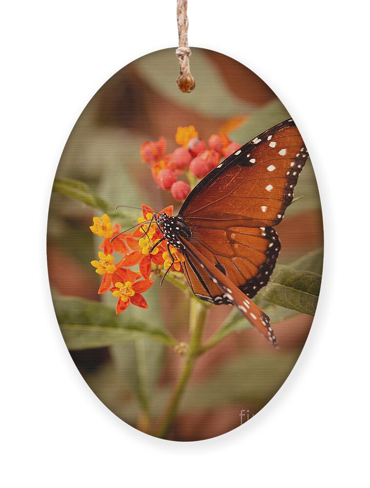 Butterfly Ornament featuring the photograph Queen Butterfly on Flowers by Ana V Ramirez
