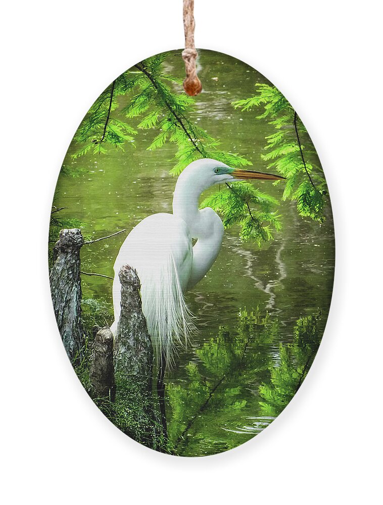 Coastal Egrets Ornament featuring the photograph QUIET MOMENTS of ELEGANCE by Karen Wiles