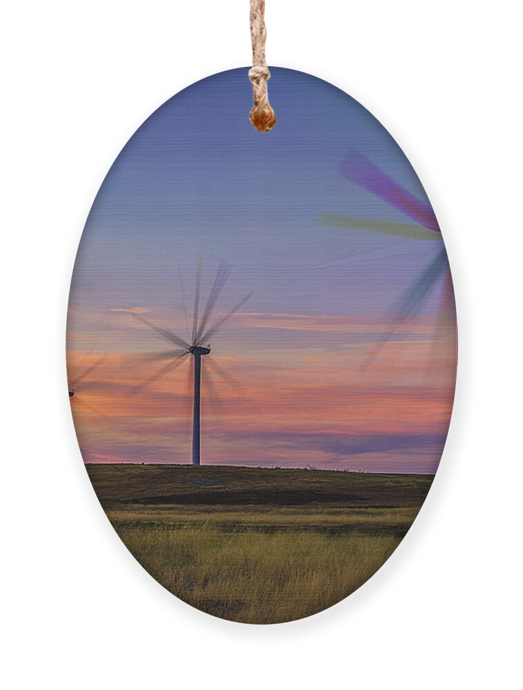Anti-aging Ornament featuring the photograph Rainbow Fans by Don Hoekwater Photography