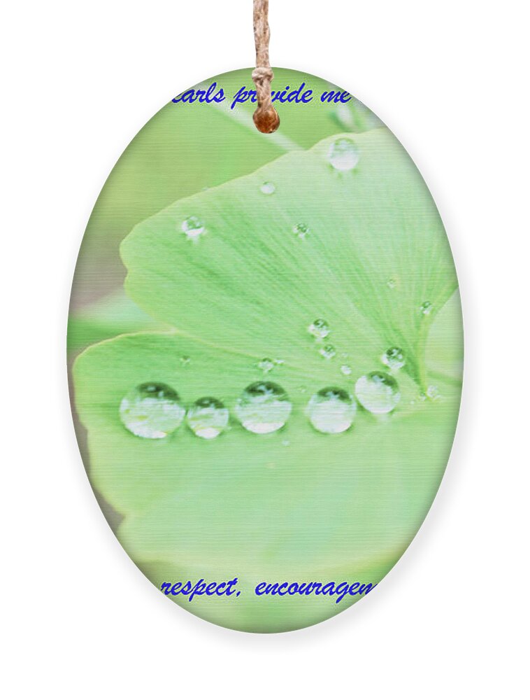 Leaves Ornament featuring the photograph Raindrop Pearls by Merle Grenz