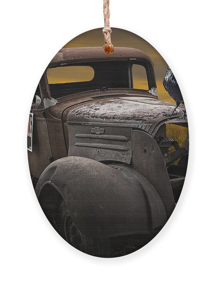 Vintage Ornament featuring the photograph Raven Hood Ornament on Old Vintage Chevy Pickup Truck by Randall Nyhof