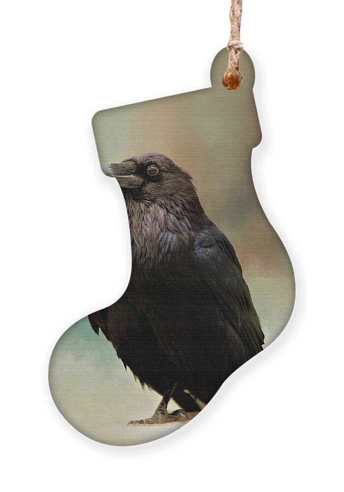 Animal Ornament featuring the photograph Raven by Lana Trussell