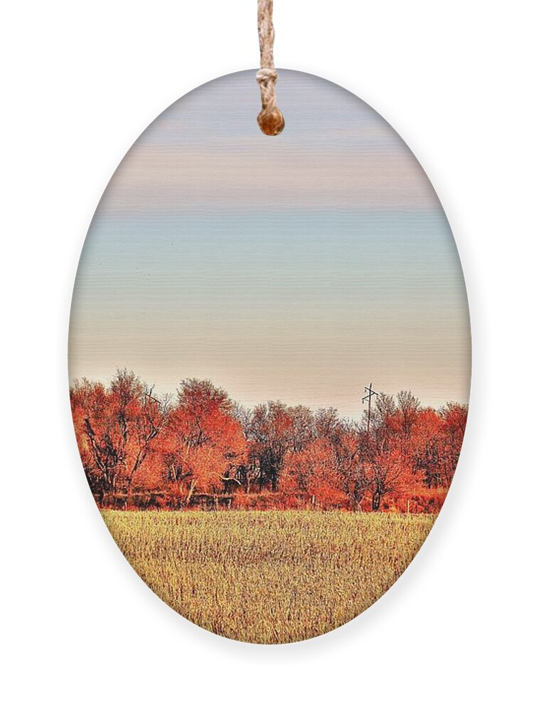 Barn Ornament featuring the photograph Reds and Oranges by Merle Grenz