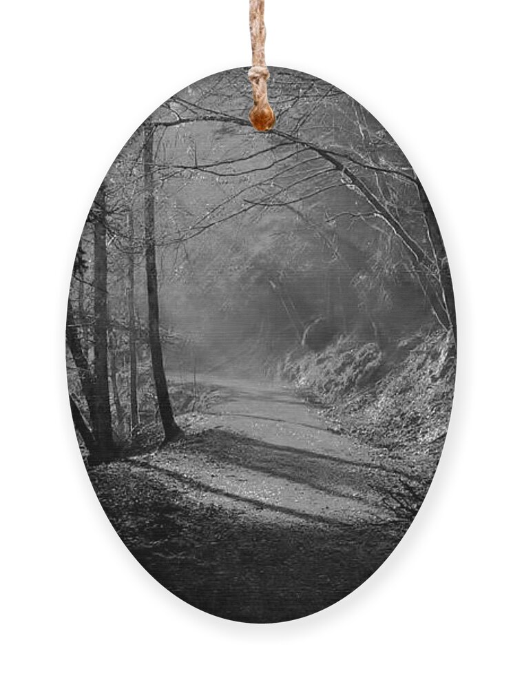 Reelig Glen Ornament featuring the photograph Reelig forest walk by Gavin Macrae