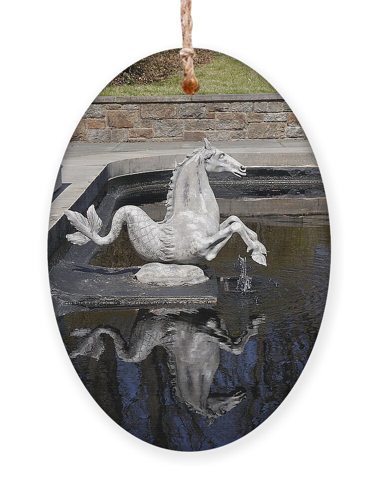 Richard Reeve Ornament featuring the photograph Reflections on a Sea Horse by Richard Reeve