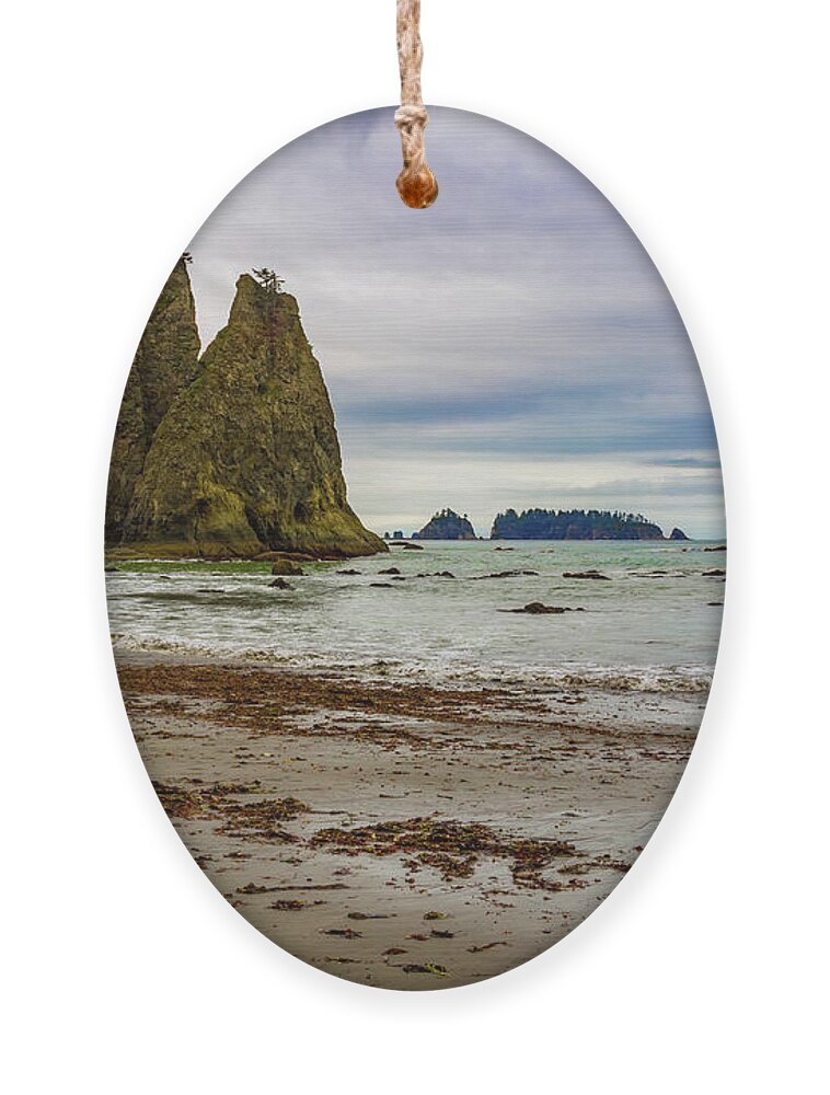 Beach Ornament featuring the photograph Rialto Beach by Roslyn Wilkins