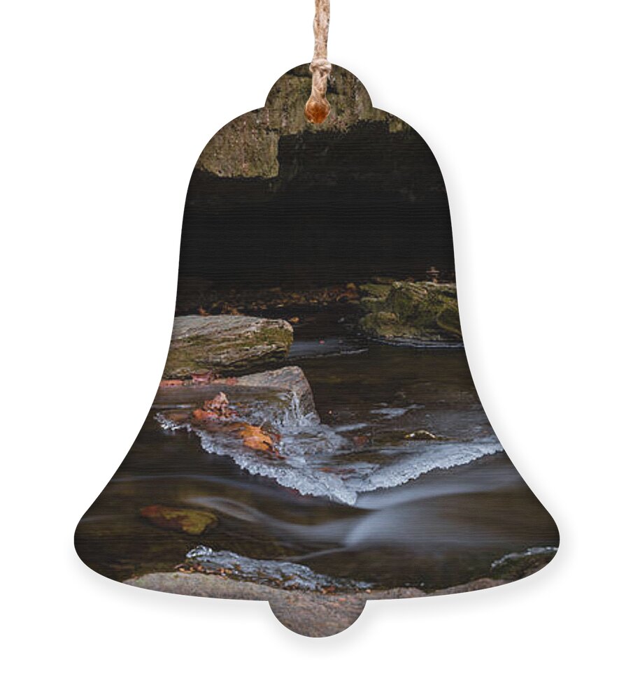 Creek Ornament featuring the photograph Riffles in a creek by William Dickman