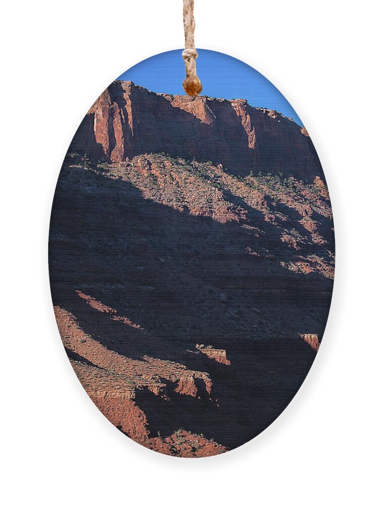 Canyonlands Landscape Ornament featuring the photograph Rock Sentry by Jim Garrison