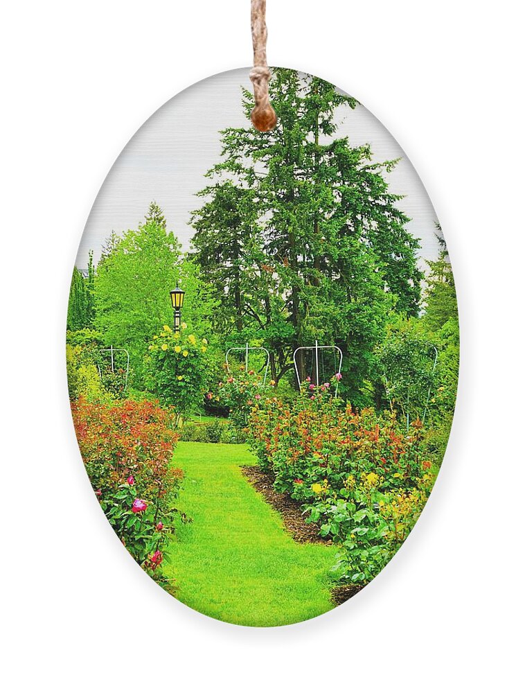 Rose Garden Ornament featuring the photograph Rose garden, Portland Oregon by Merle Grenz