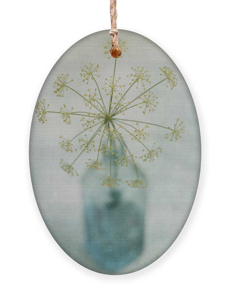 Dill Ornament featuring the photograph Round Dance by Priska Wettstein