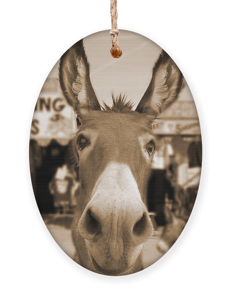 Route 66 Ornament featuring the photograph Route 66 - Oatman Donkeys by Mike McGlothlen