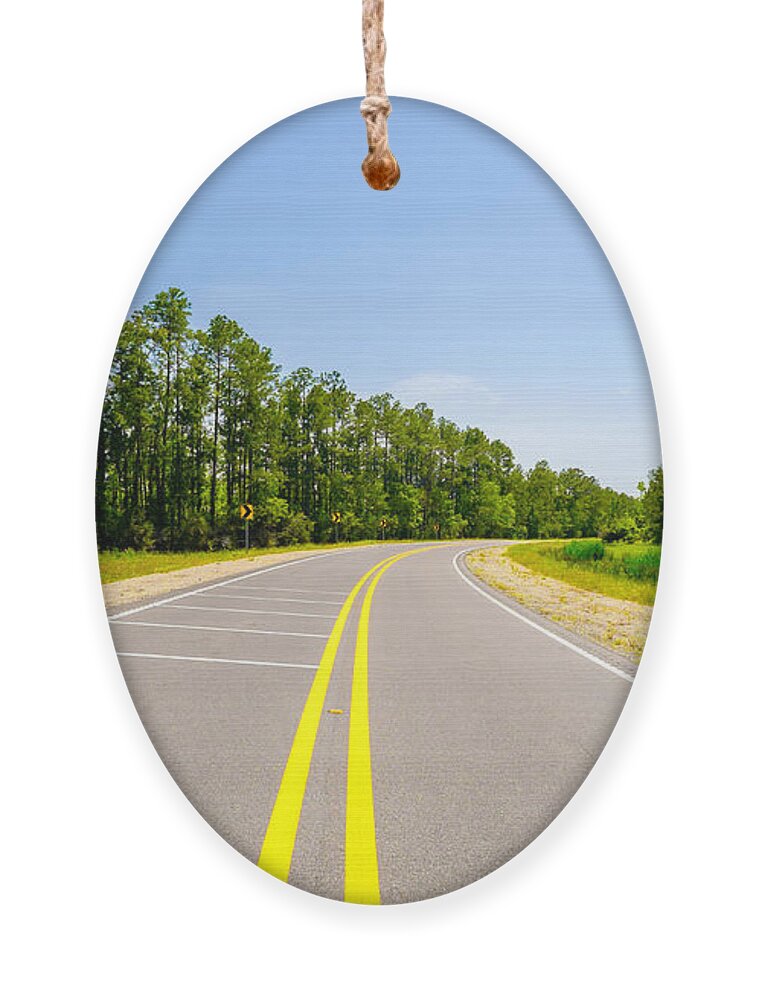 Alabama Ornament featuring the photograph Rural Highway by Raul Rodriguez