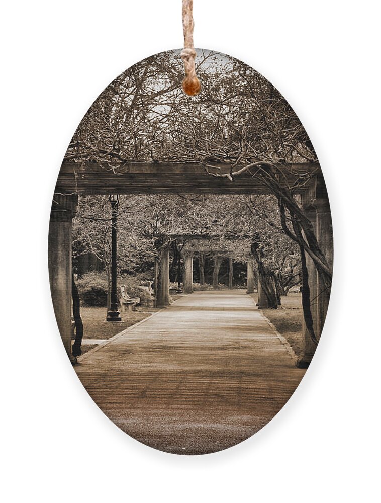 Passage Ornament featuring the photograph Safe Passage by Onedayoneimage Photography