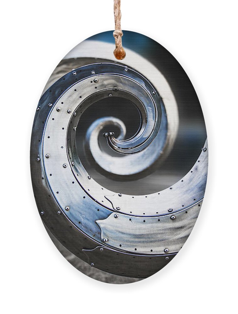 Junk Ornament featuring the photograph Salmon Waves by Pelo Blanco Photo