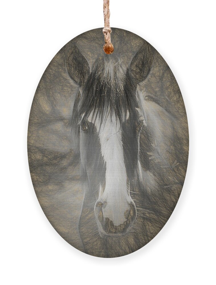 Horses Ornament featuring the photograph Salt River Stallion by Teresa Wilson