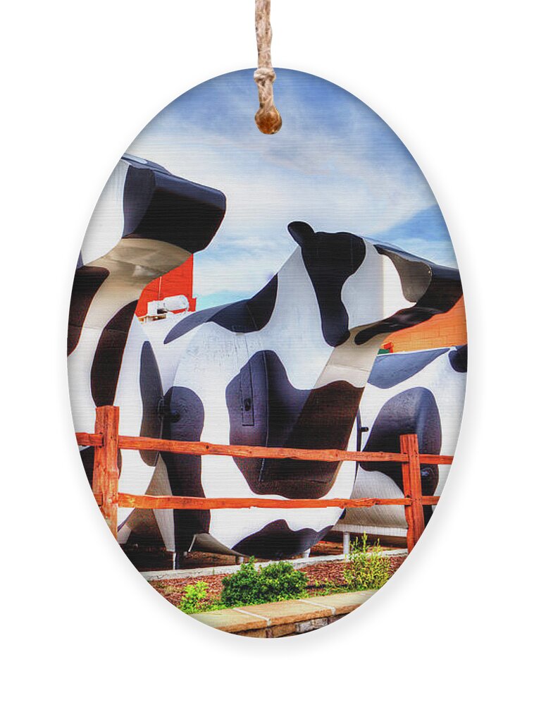 Ashe Cheese Factory Ornament featuring the photograph Say Cheese by Dale R Carlson