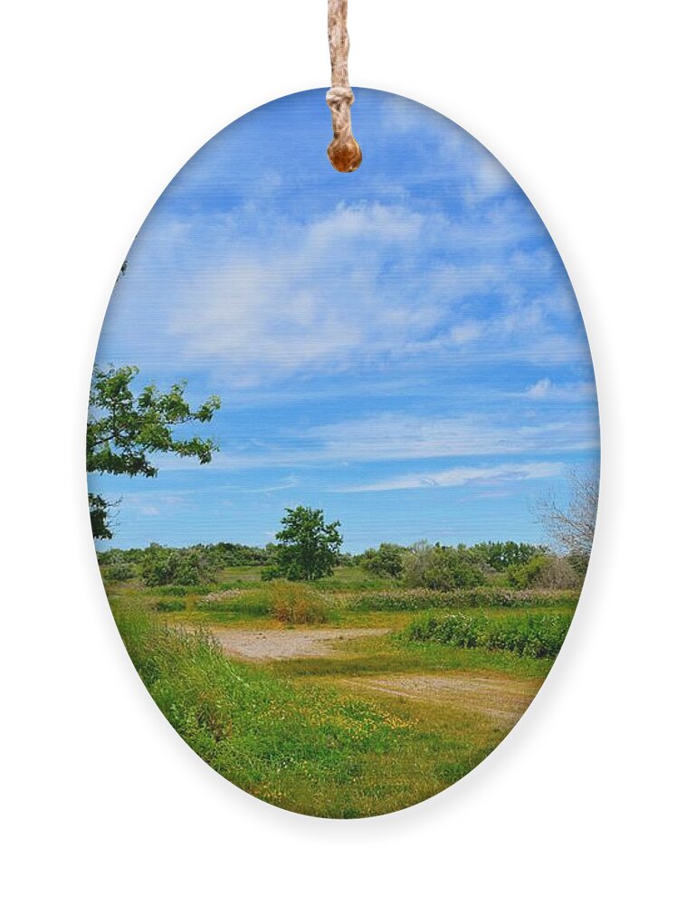 Path Ornament featuring the photograph Scene at Silver Sands by Dani McEvoy