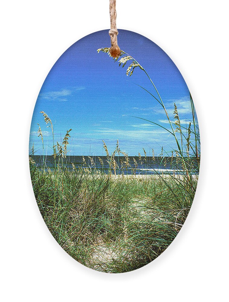 Ocean Ornament featuring the photograph Sea Oat Dunes 11D by Gerry Gantt