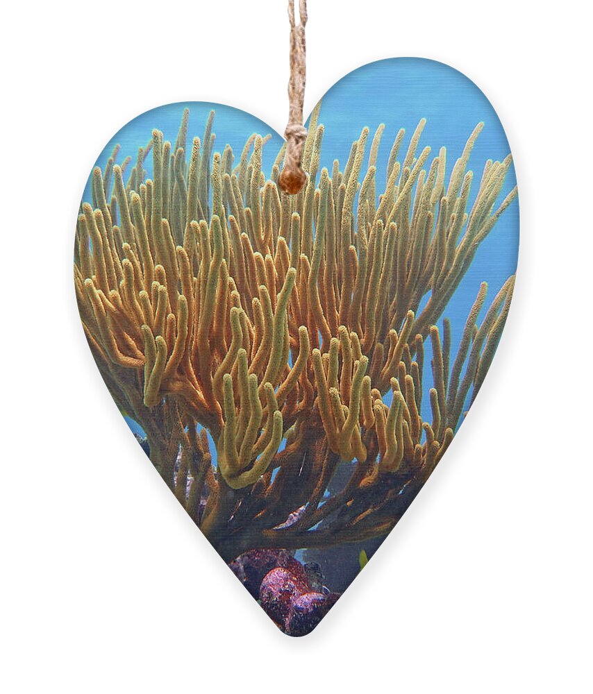Underwater Ornament featuring the photograph Sea Whip by Daryl Duda