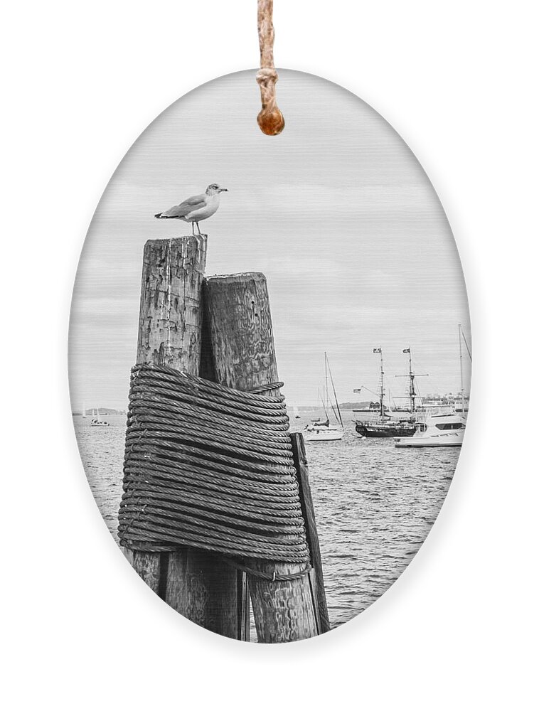 Boston Ornament featuring the photograph Seagull on Mooring by SR Green