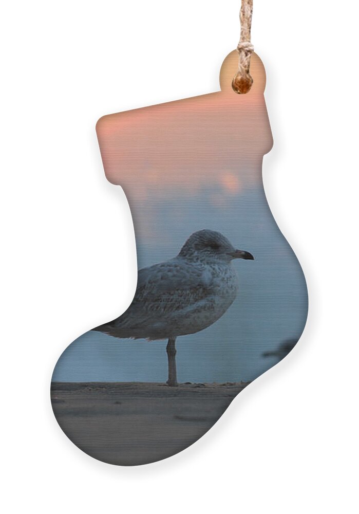 Sun Ornament featuring the photograph Seagull Seascape Sunrise by Robert Banach