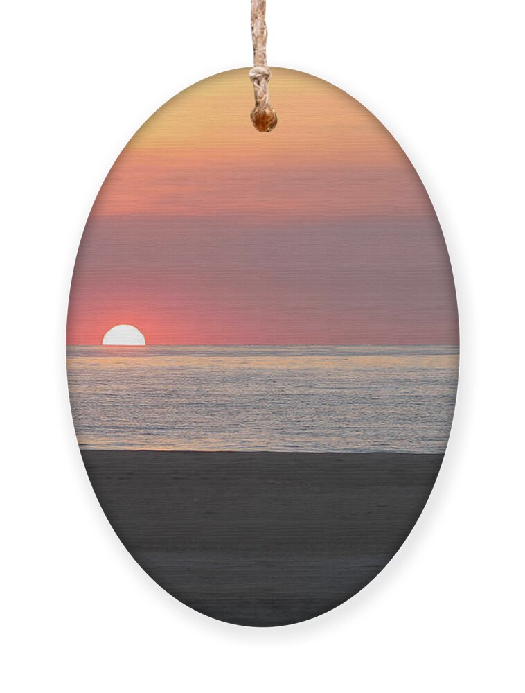 Seagull Ornament featuring the photograph Seagull Watching Sunrise by Robert Banach