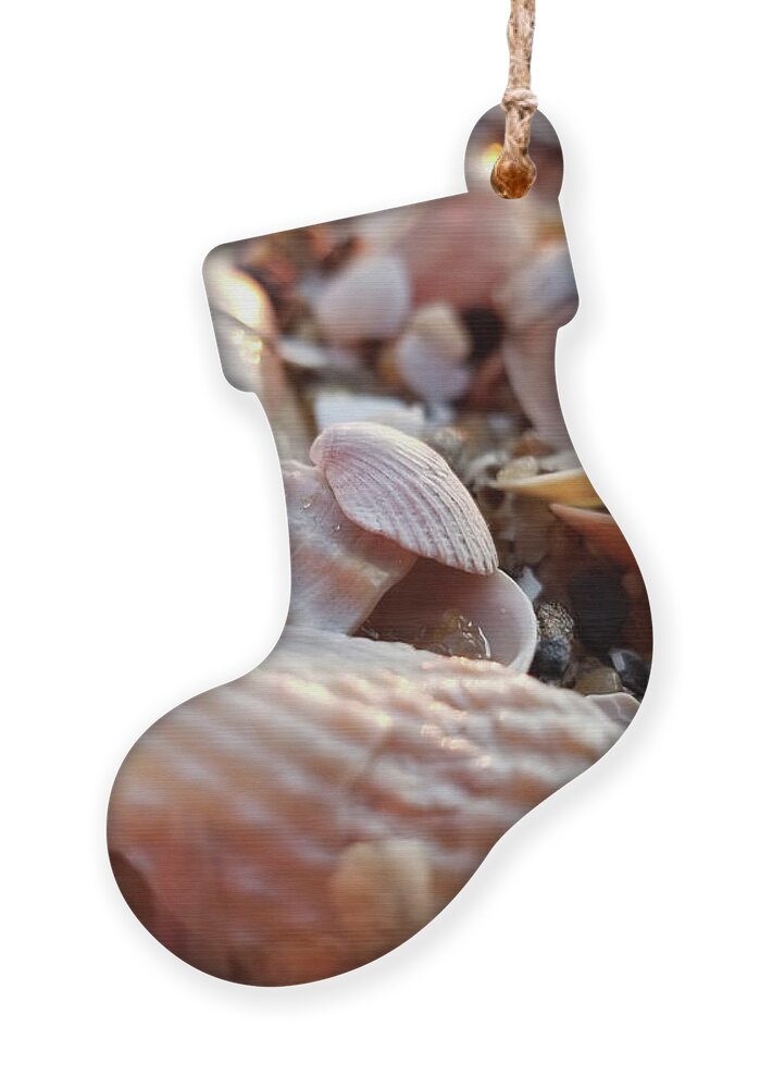 Seashells Ornament featuring the photograph Seashells and Pebbles by Robert Banach