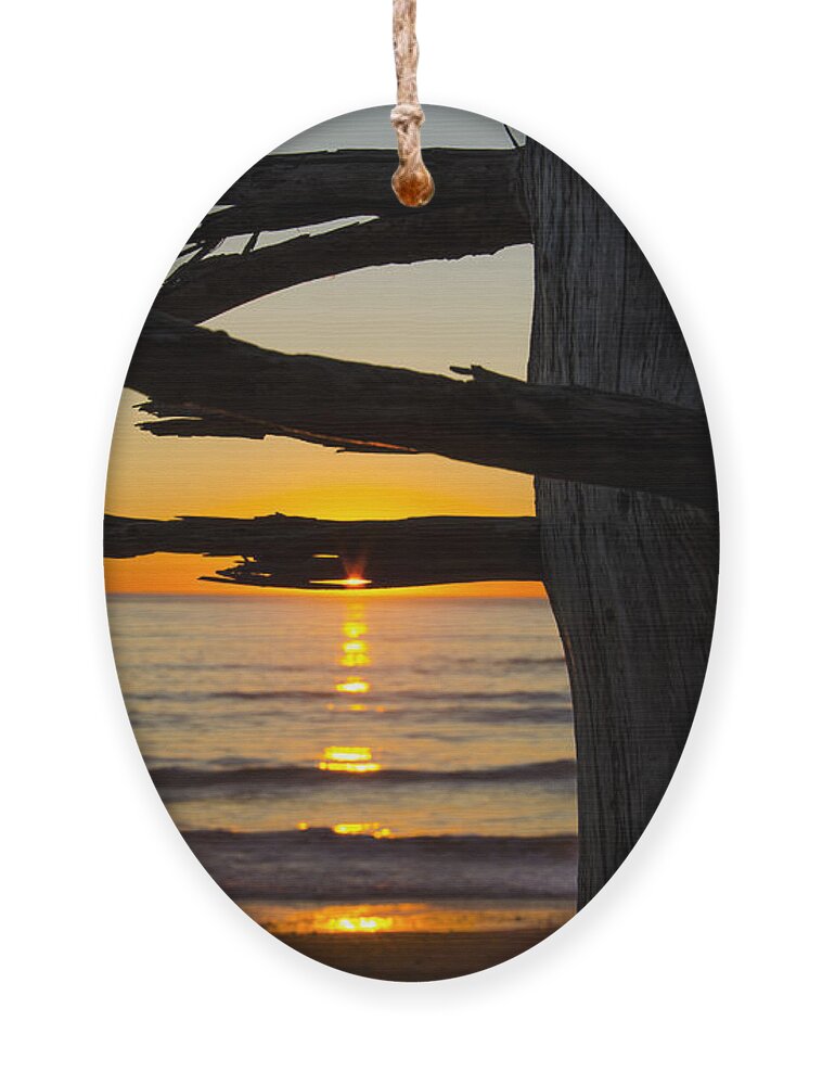 Branch Ornament featuring the photograph Seaside Tree Branch Sunset by Pelo Blanco Photo