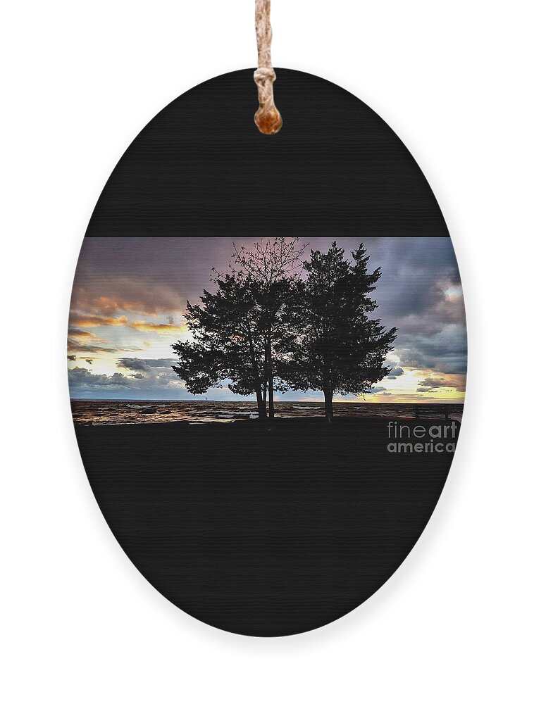 Moods Ornament featuring the photograph Second Visit by Dani McEvoy