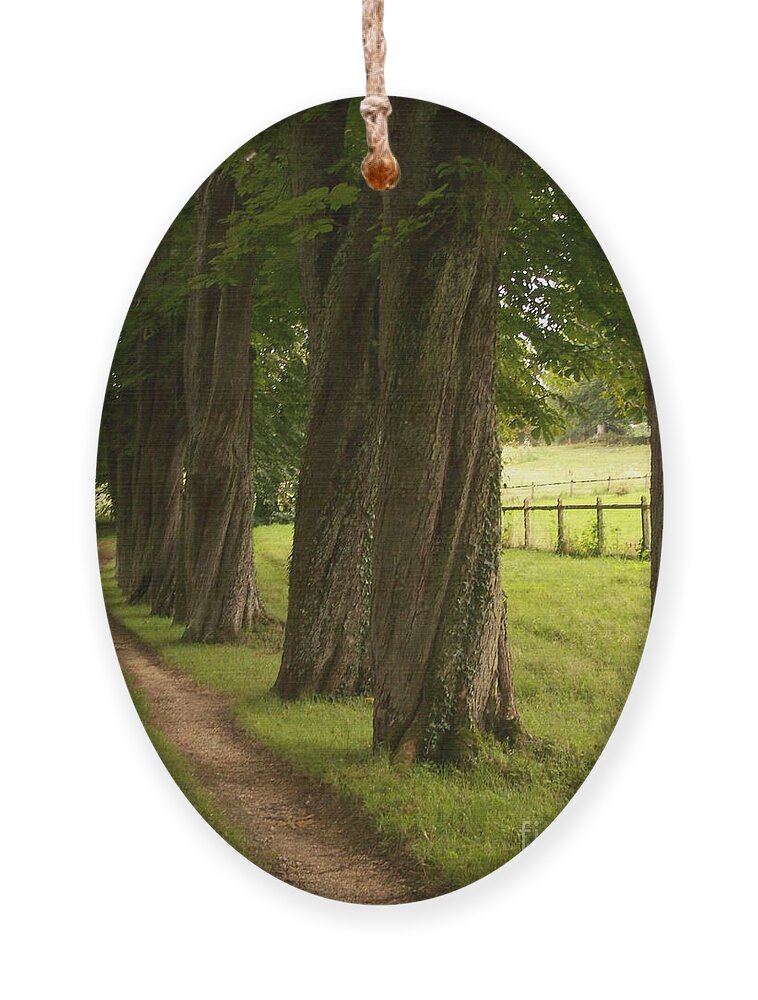 Secret Ornament featuring the photograph Secret Path by Mary Mikawoz