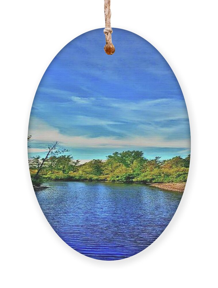 Creek Ornament featuring the photograph Selkirk Shores by Dani McEvoy